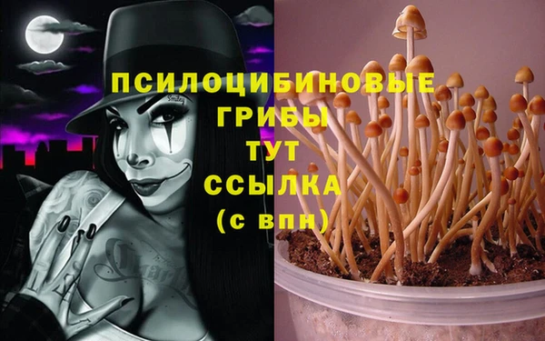 экстази Алзамай