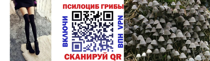 Псилоцибиновые грибы ЛСД Приморск